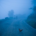 Village road in Nepal