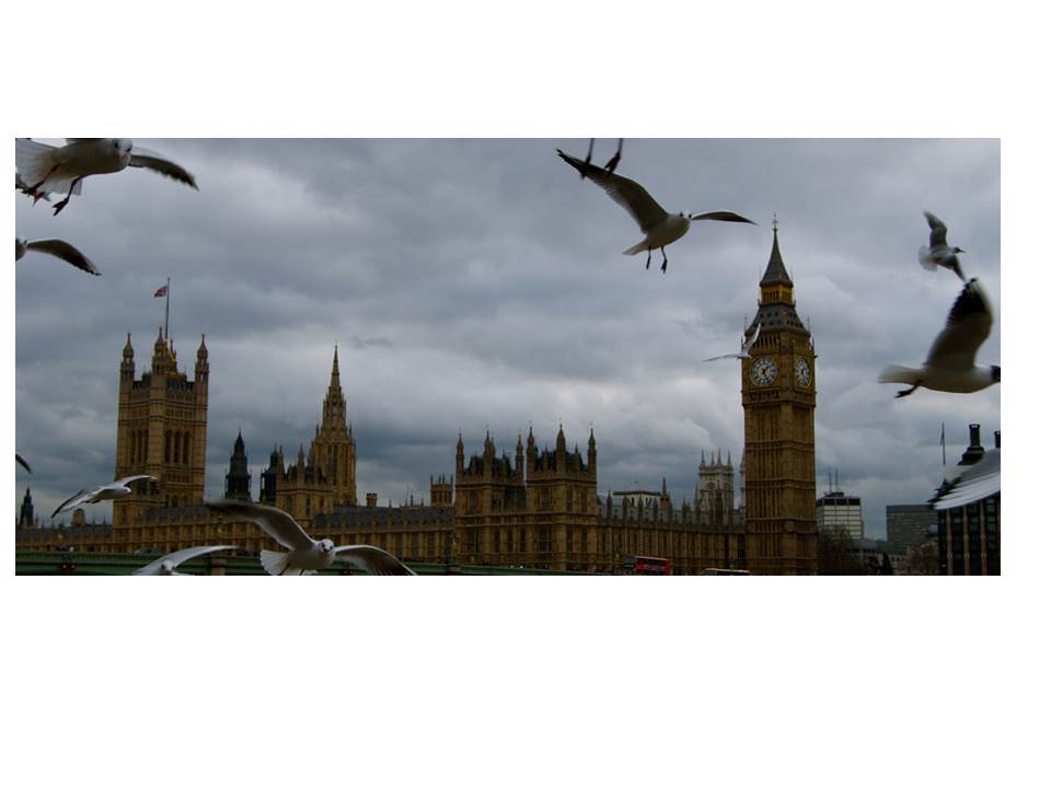 The Royal Society for the Protection of Birds (RSPB)