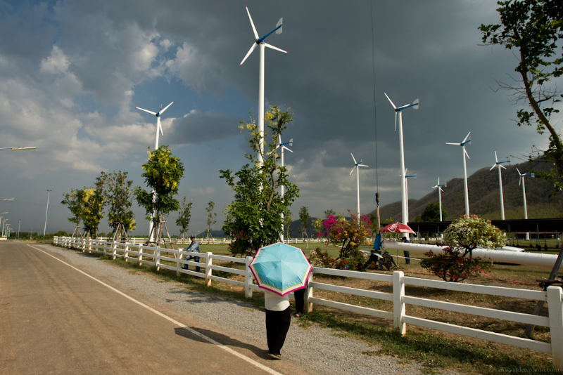 A man with an umbrella to protect from the heat admires the Kings Wind Farm in Thailand.