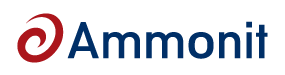 Ammonit Measurement GmbH